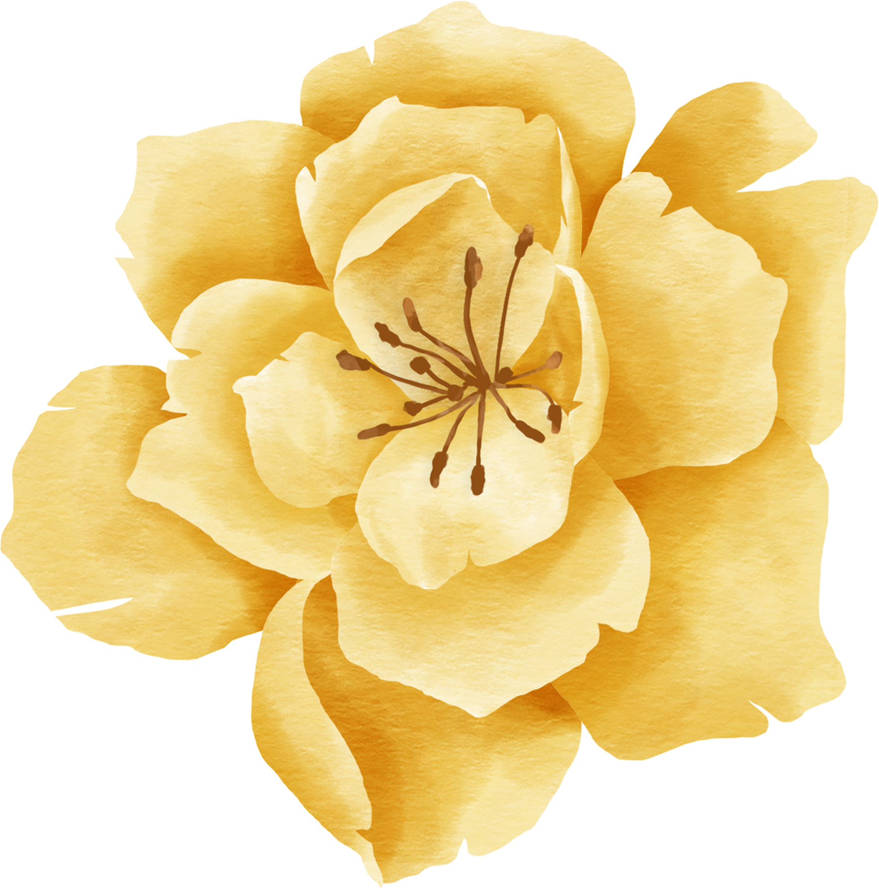 Vintage Brown Flower Watercolour Perfect for Wedding Card Design